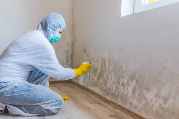 Commercial Mold Remediation assessment for commercial property in Mullica Hill
