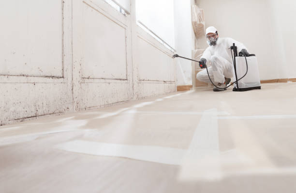 Post-remediation clearance in Mullica Hill